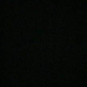 Meet your Posher, Ella